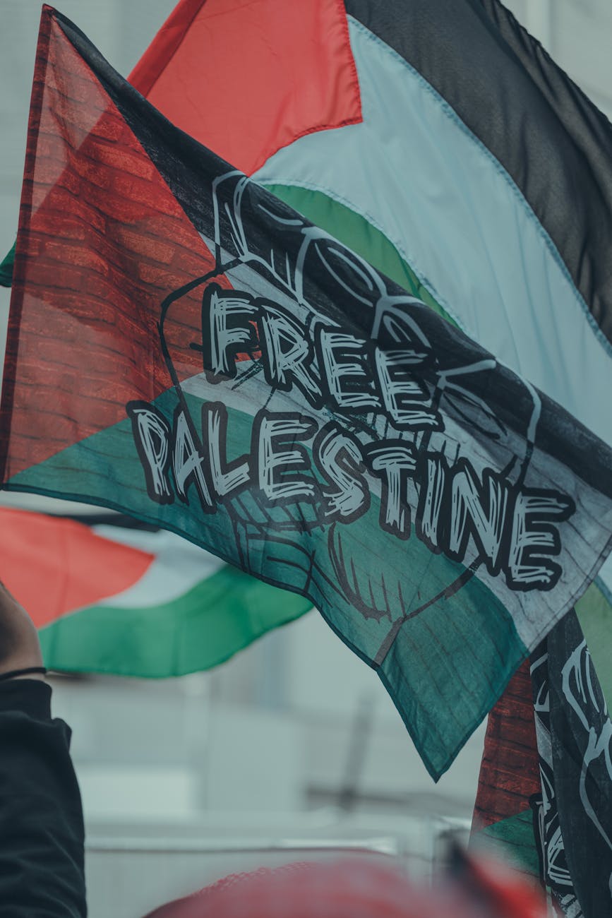 close up of palestinian flags